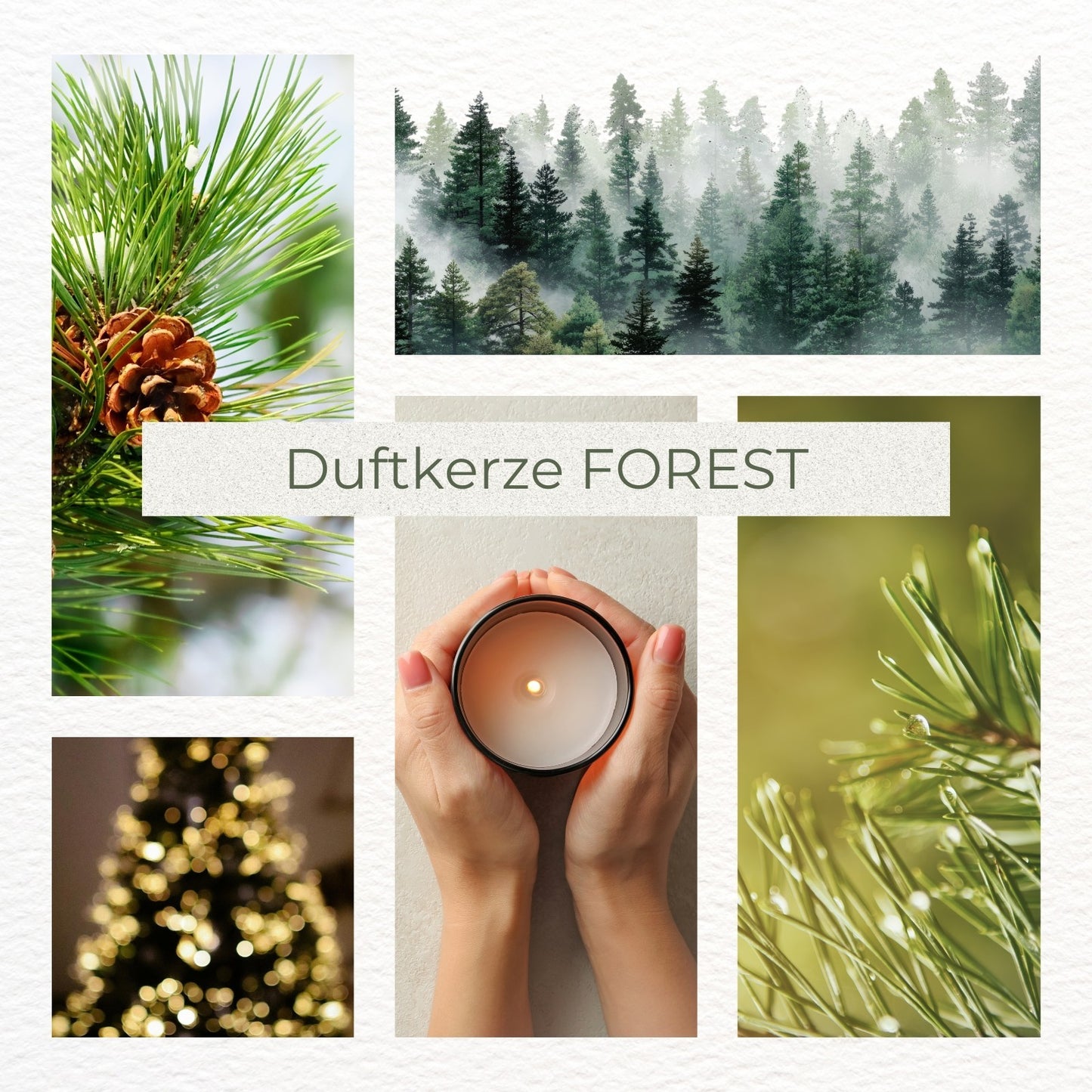Duftkerze FOREST – Adventskranz- Wald Duft mit Tanne, Eukalyptus & warmen Hölzern