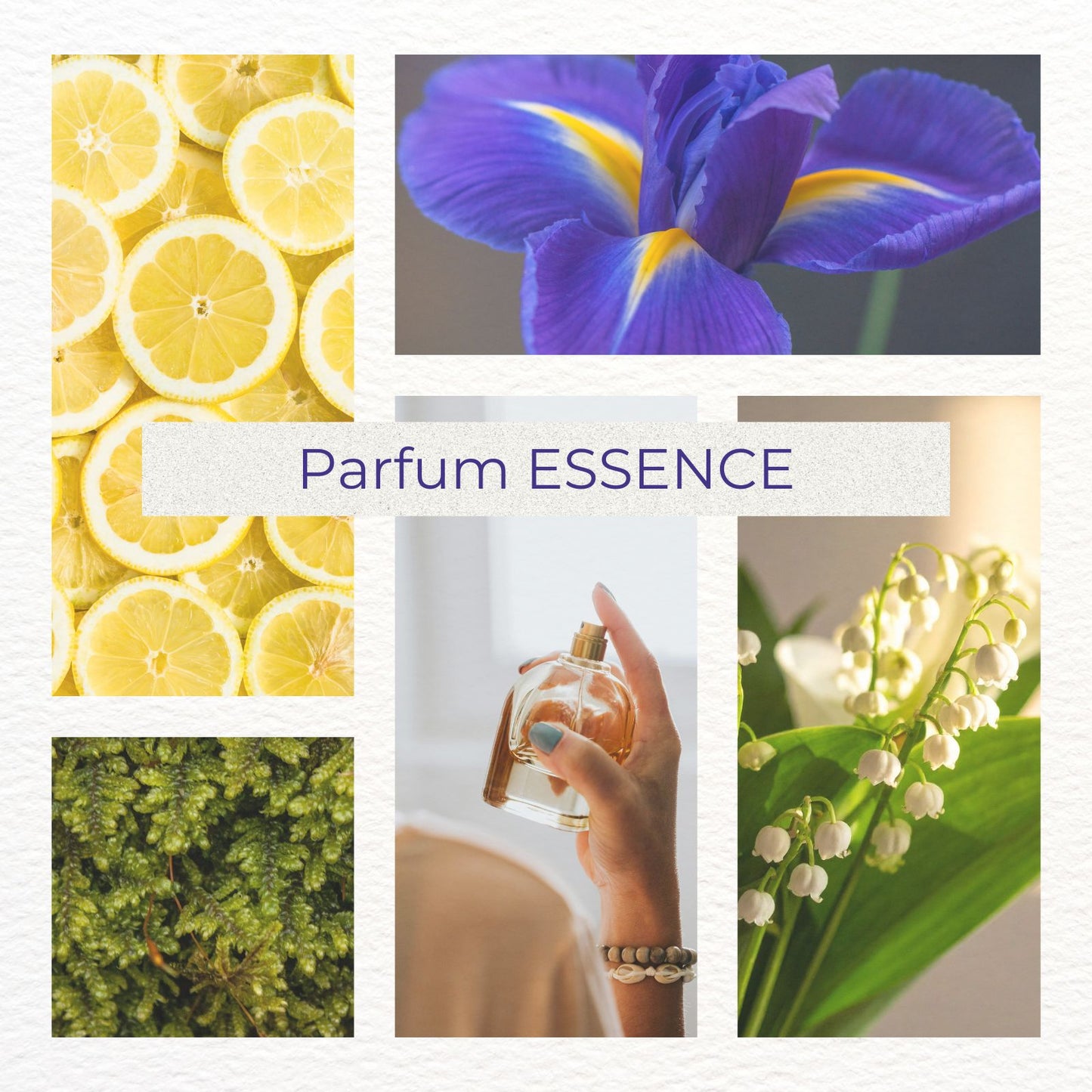 Parfum Embrace your ESSENCE - Frisch-grüner Duft mit Zitrus, Kräutern & erdender Tiefe