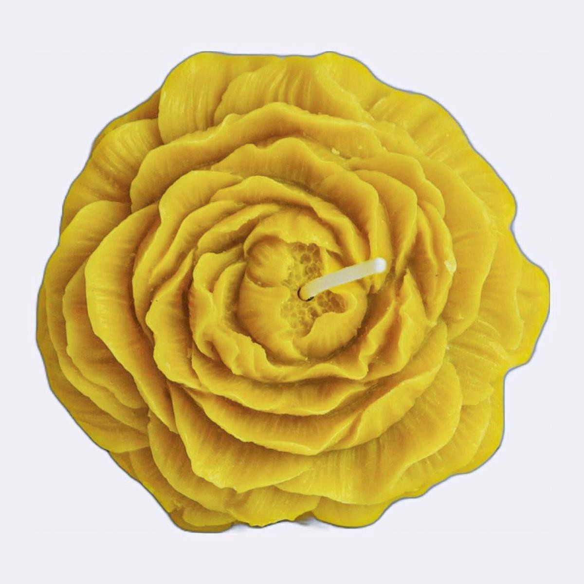 Duftkerze Kamille - Pfingstrosenblüte