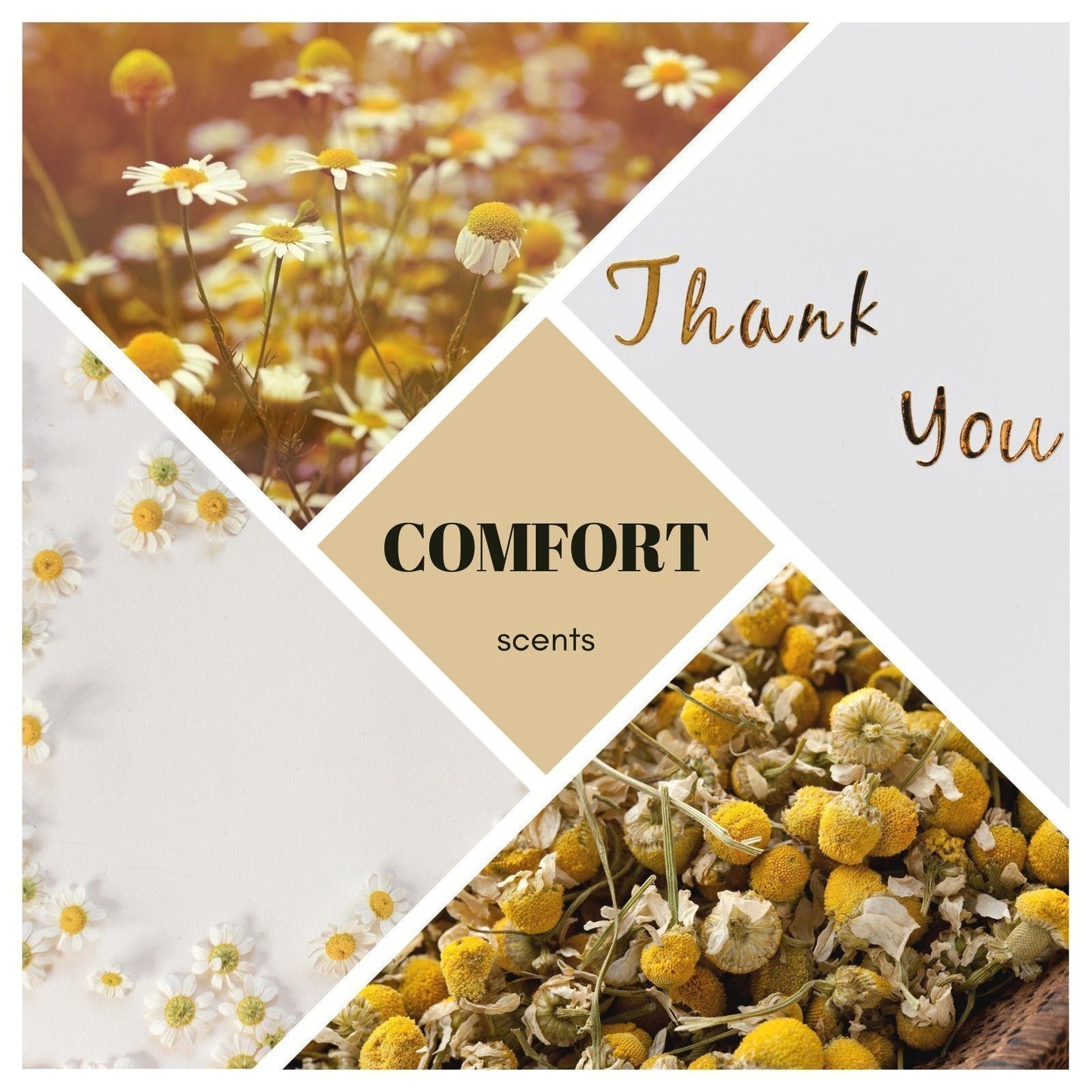 Gastgeschenk - Badesalz - Comfort – Kamille