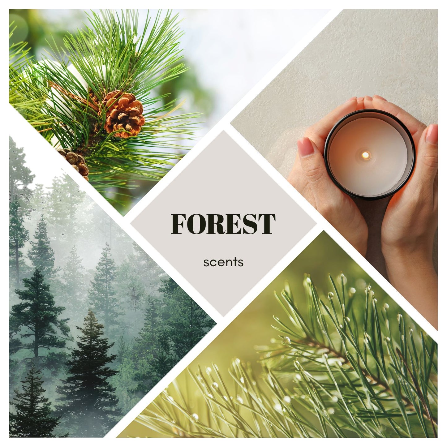 Duftkerze Forest – Winterduft, Wald, Adventskranz