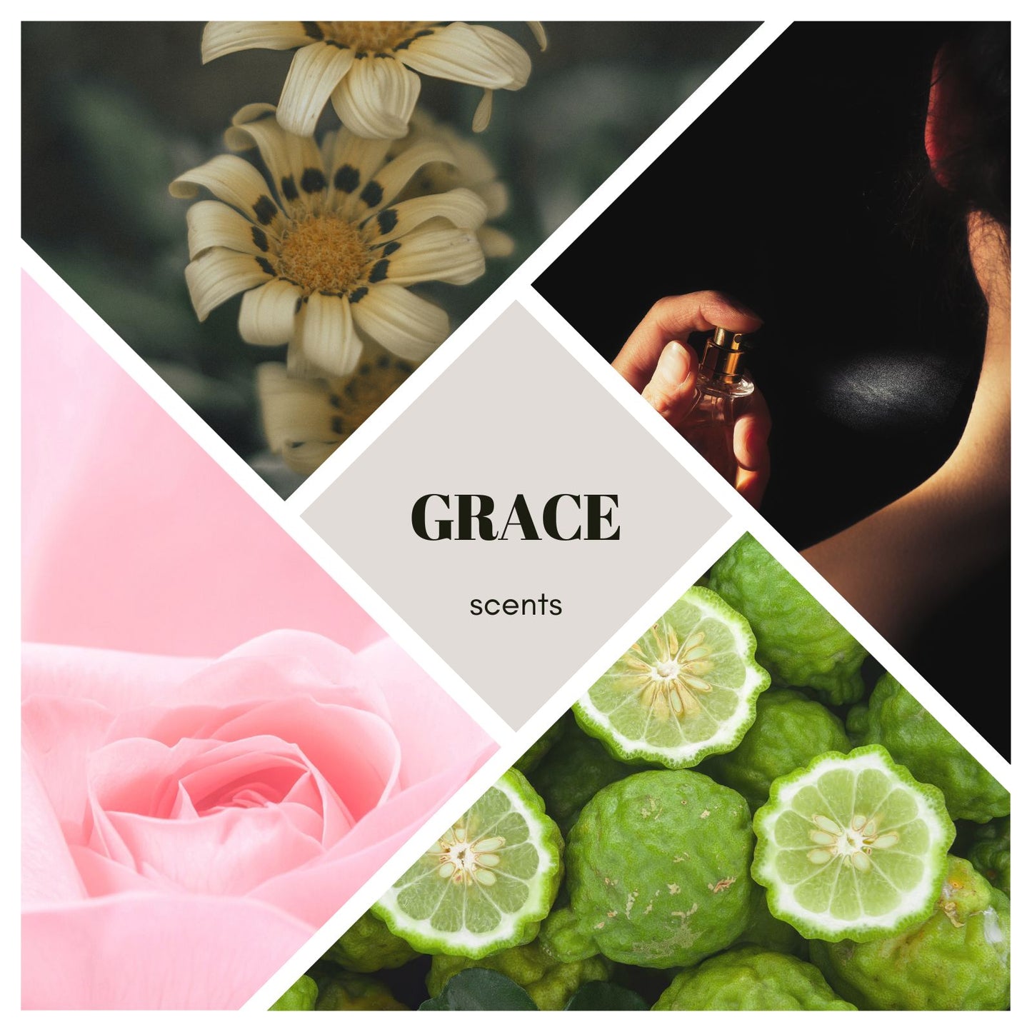 Parfum Elevate in Grace - 10ml Reisegröße
