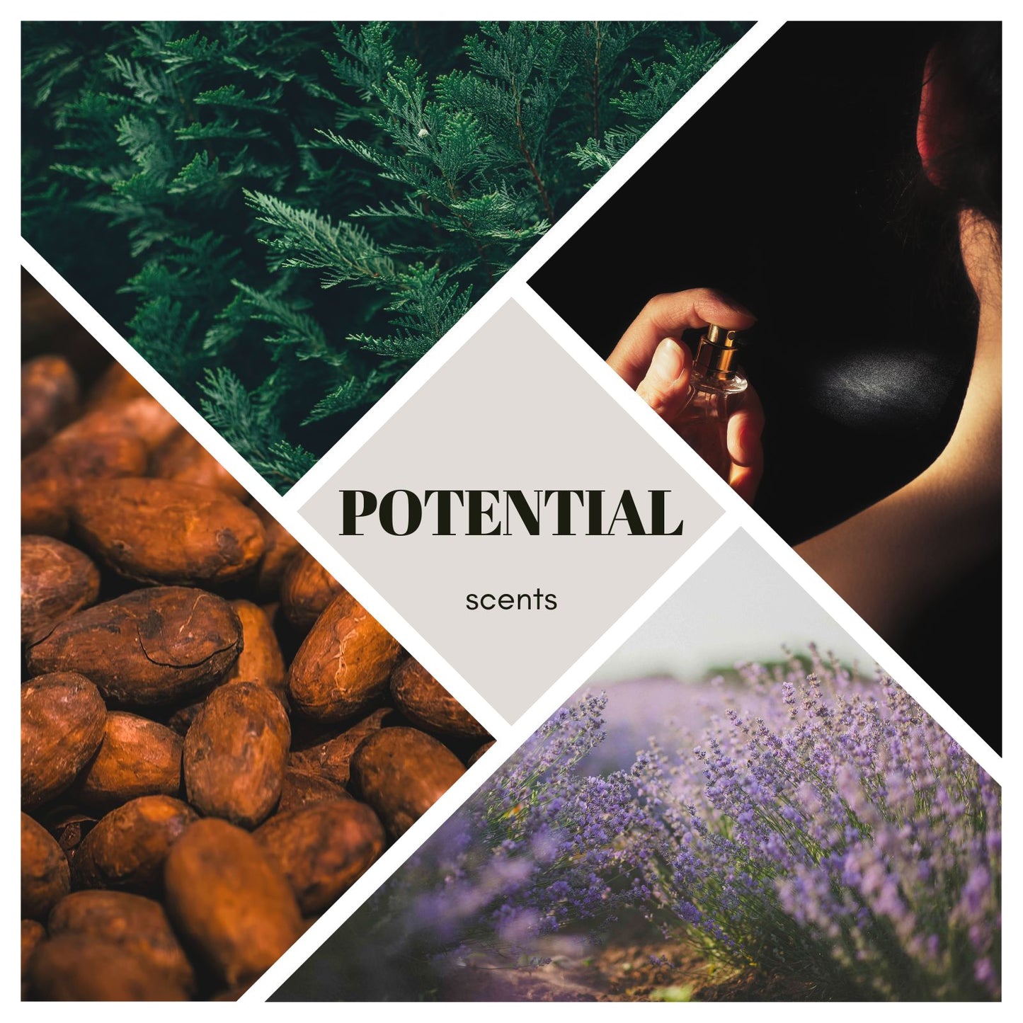 Parfum Unleash your full Potential - 50ml