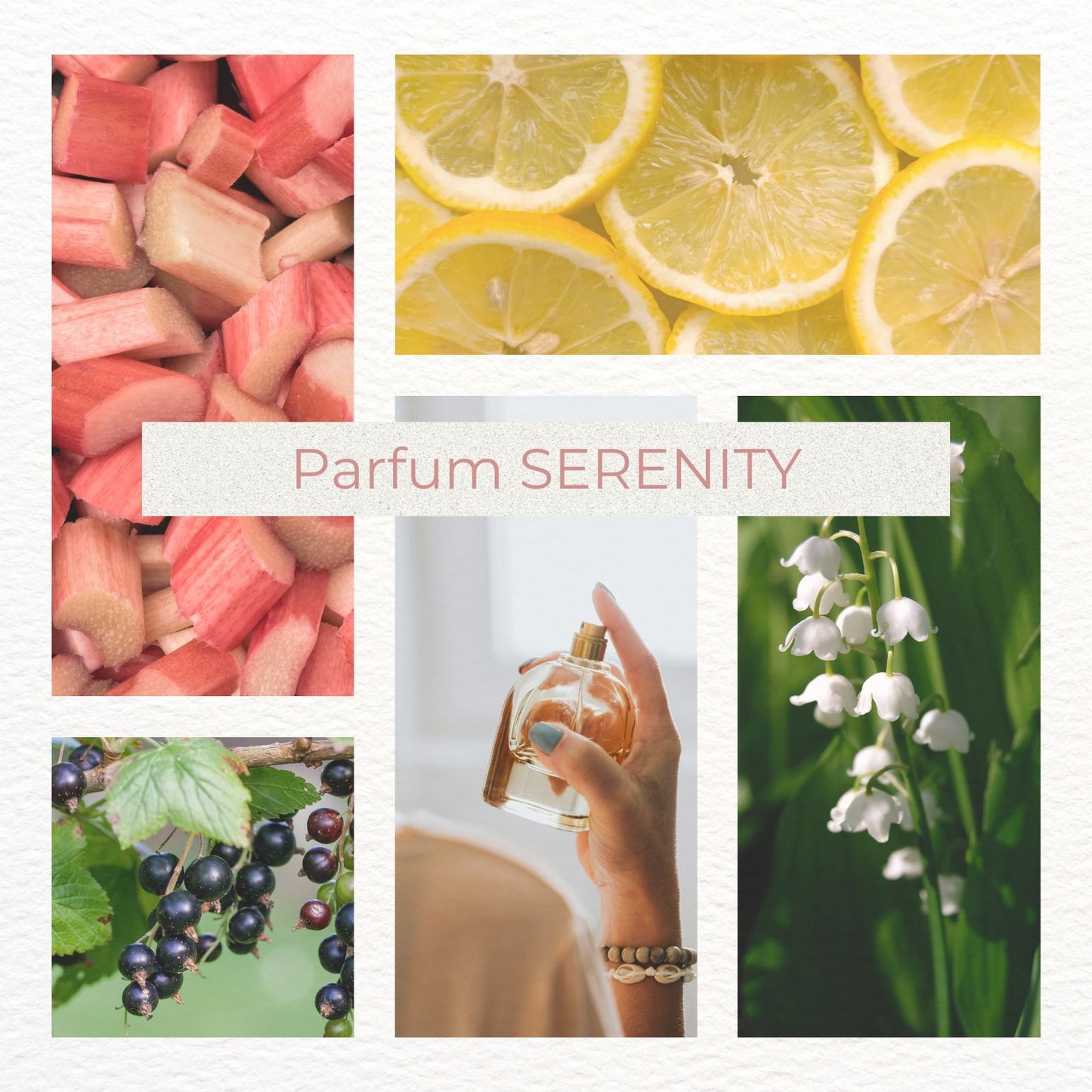 Parfum Flourish in SERENITY - Frisch-fruchtig-fröhlicher Rhabarberduft mit Blüten & sanfter Wärme