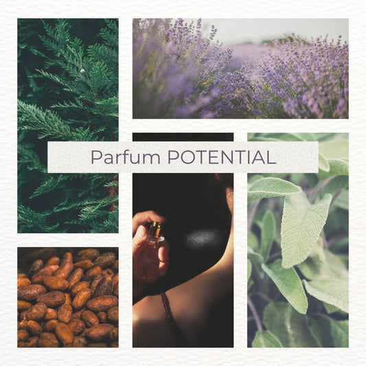 Parfum Unleash your full POTENTIAL - Aromatisch-holziger Duft mit Lavendel, Vanille & mediterranen Hölzern