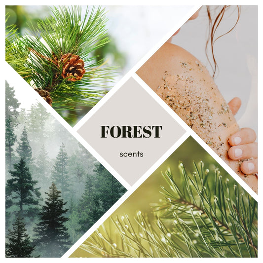 Dusch- und Saunapeeling - Forest