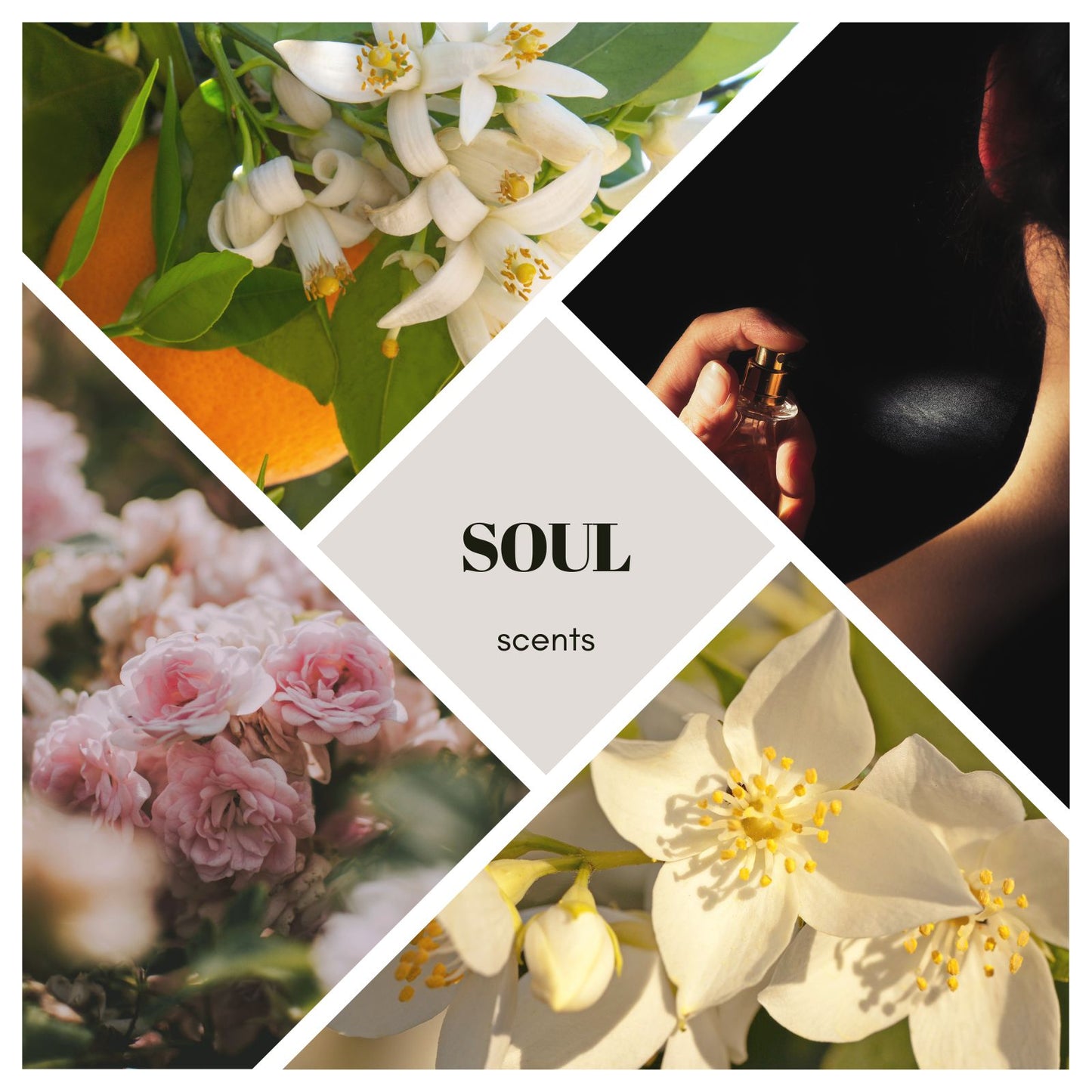 Parfum Evoke your Soul - 50ml