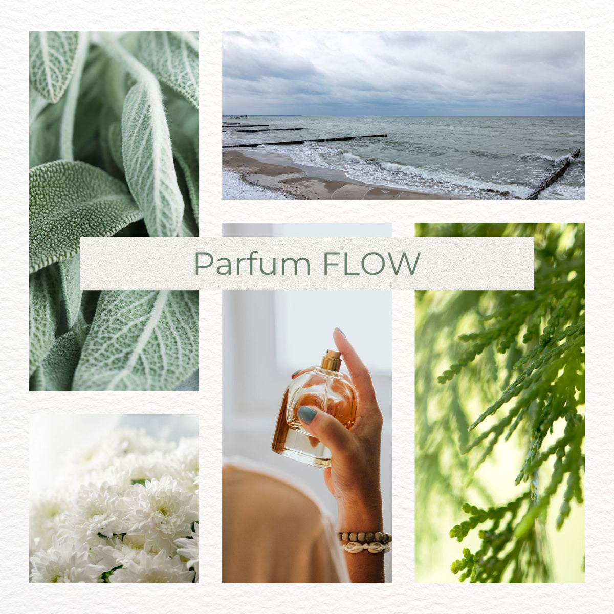 Parfum Let your energy FLOW - Frische Meeresbrise mit Salbei, Moschus & edlen Hölzern