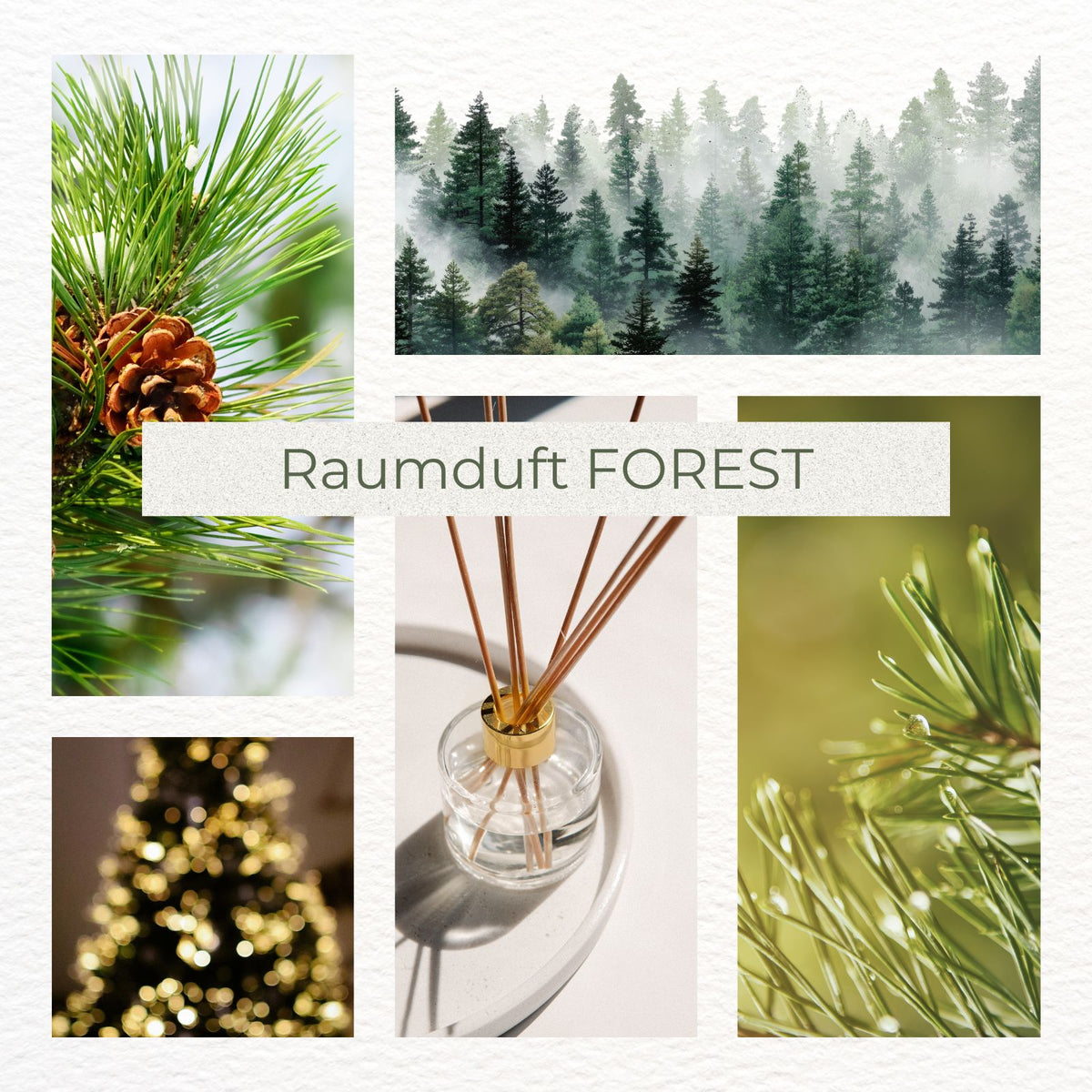 Raumduft Breathe the FOREST - luxuriöser Weihnachtsbaum Duft mit Tanne, Eukalyptus & warmen Hölzern