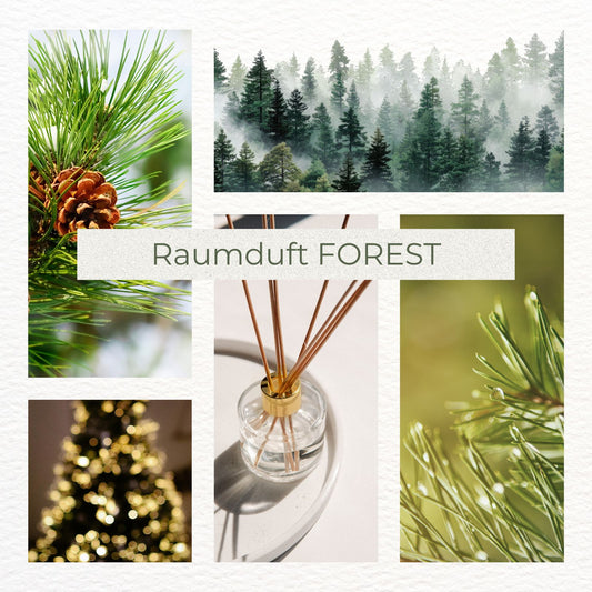 Raumduft Breathe the FOREST - luxuriöser Weihnachtsbaum Duft mit Tanne, Eukalyptus & warmen Hölzern