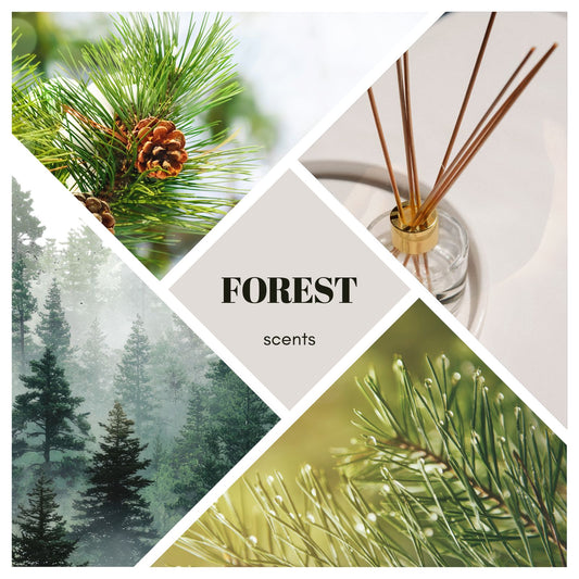 Raumduft Forest - 200ml Diffusor